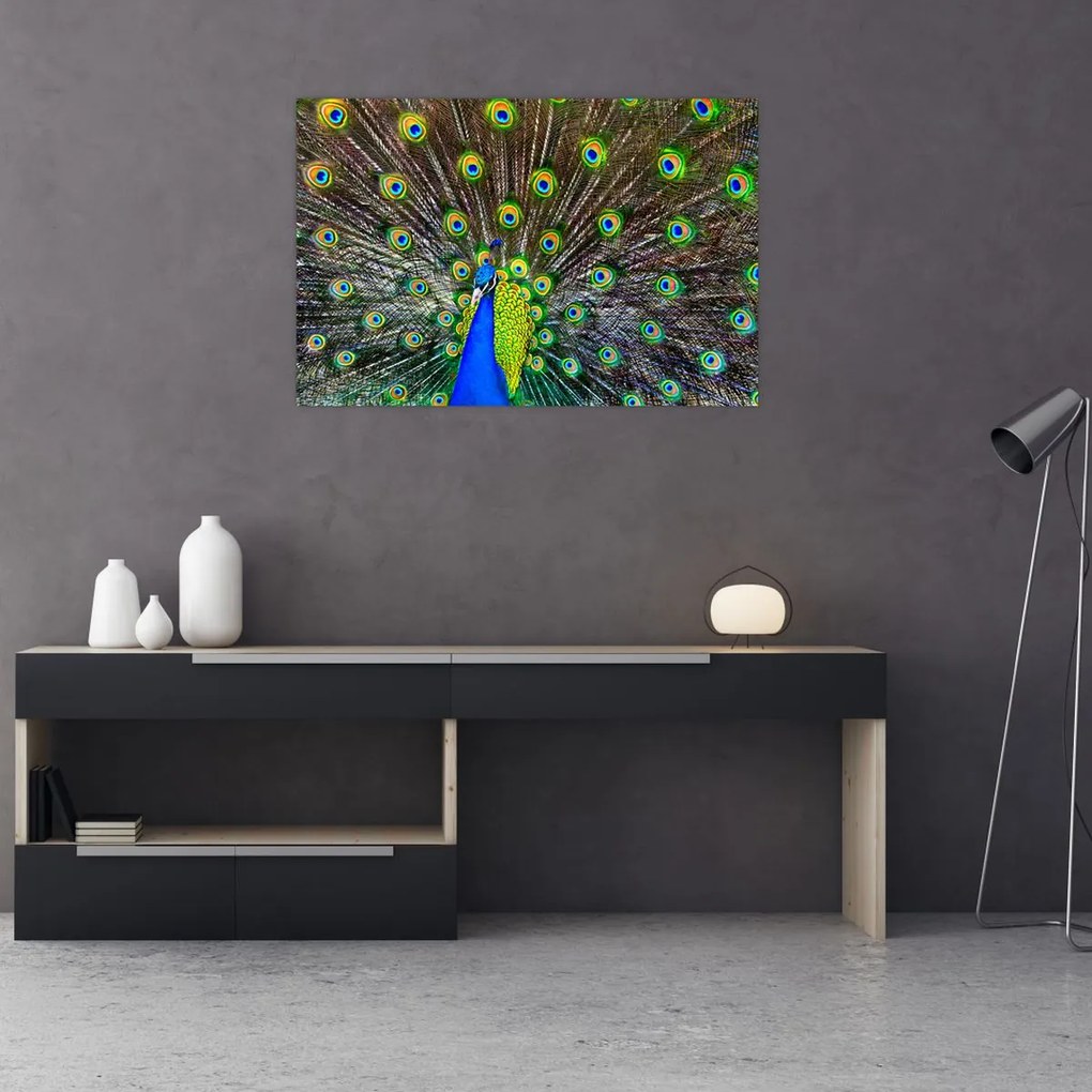 Tablou - Păun (90x60 cm)