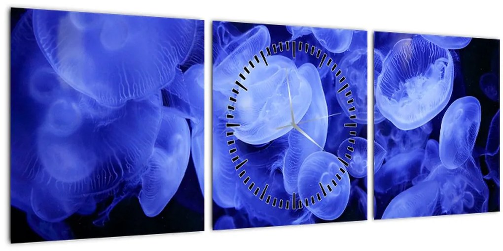 Tablou - Meduză (cu ceas) (90x30 cm)