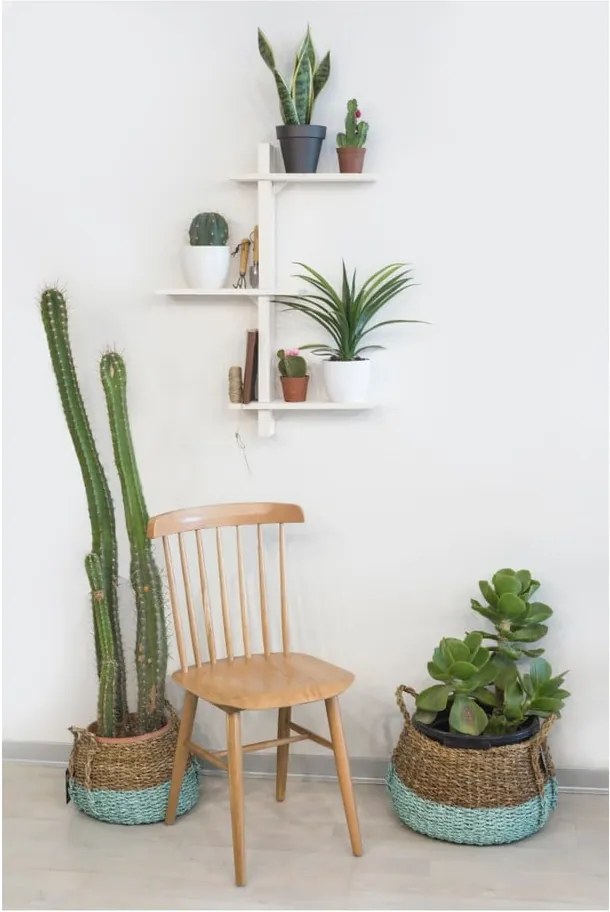 Raft de perete din lemn de brad pentru ghivece Really Nice Things Blanco