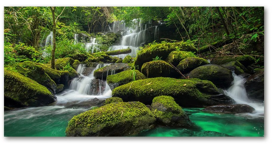 Tablou pe acril Cascada din pădure