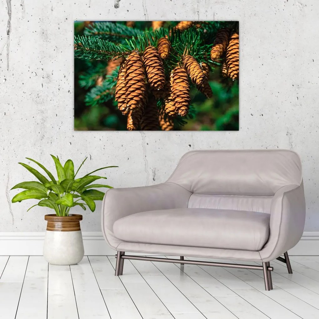 Tablou cu con de brad (90x60 cm)