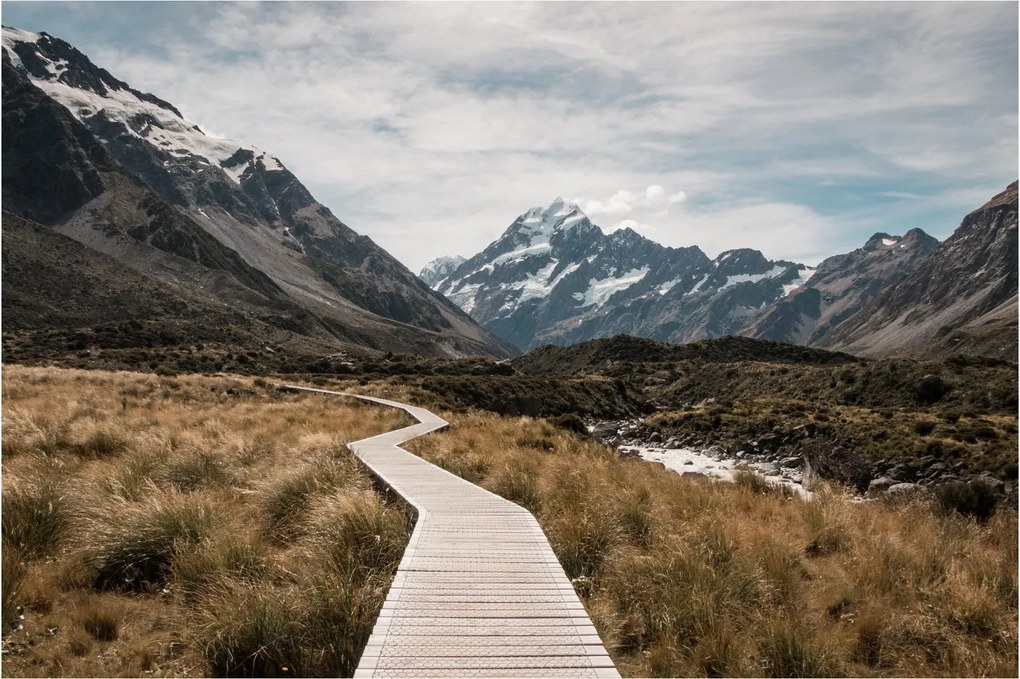 Tablou - Poteca în valea muntelui Mt. Cook (90x60 cm)