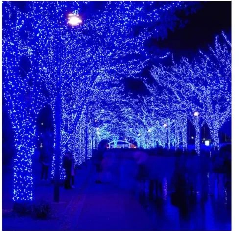 Instalație luminoasă de Crăciun 18m 300 LED Albastru