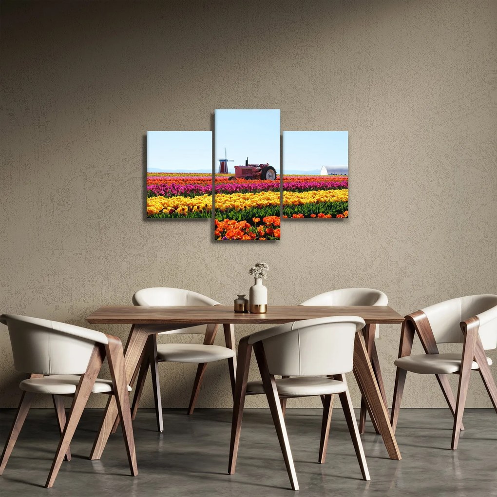 Tablou cu farma de lalele (90x60 cm)