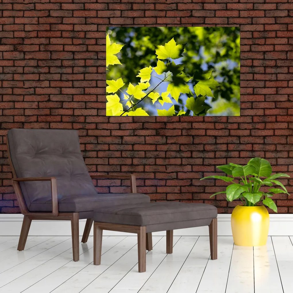 Tablou - frunze de arțar (90x60 cm)
