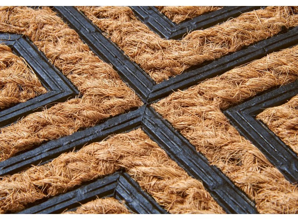 Covoraș de intrare din fibre de nucă de cocos 45x75 cm Diamonds – Hanse Home