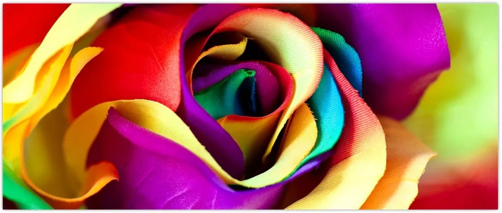 Tablou - Trandafir colorat (120x50 cm)