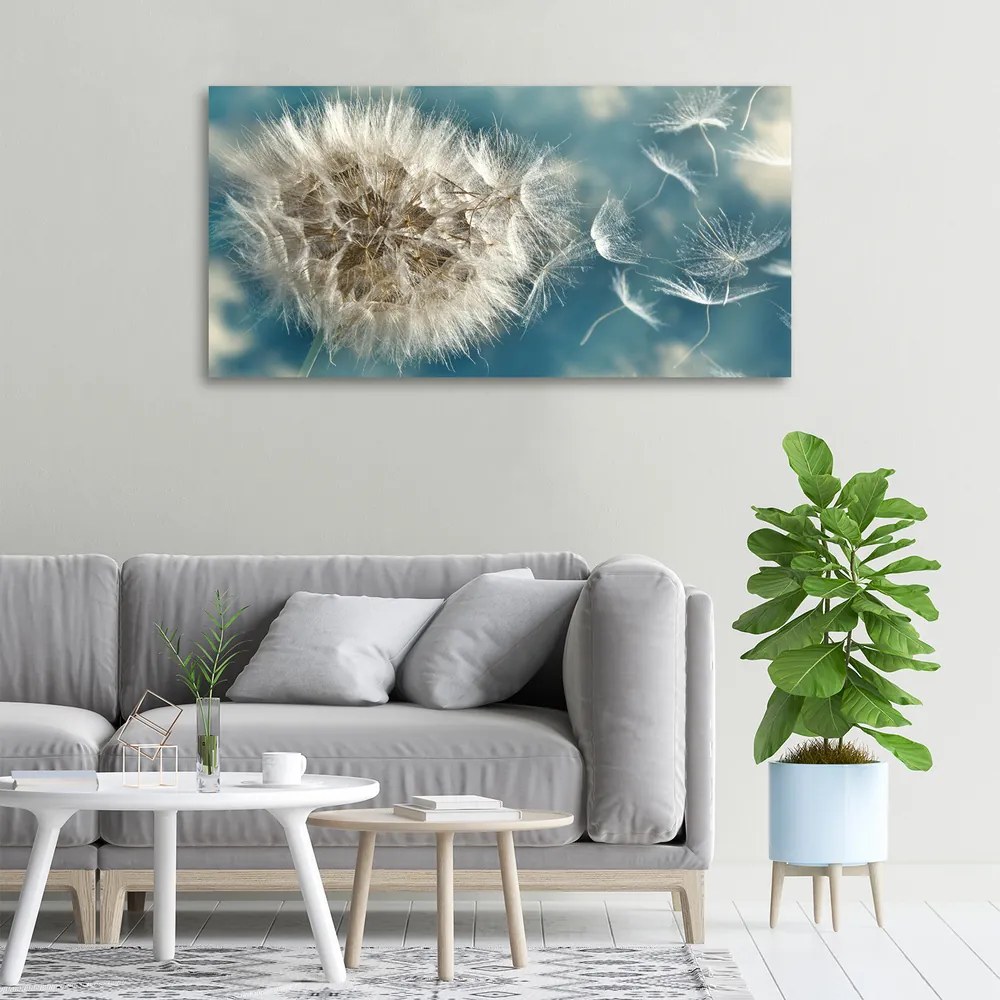 Tablou pe pânză canvas Păpădia
