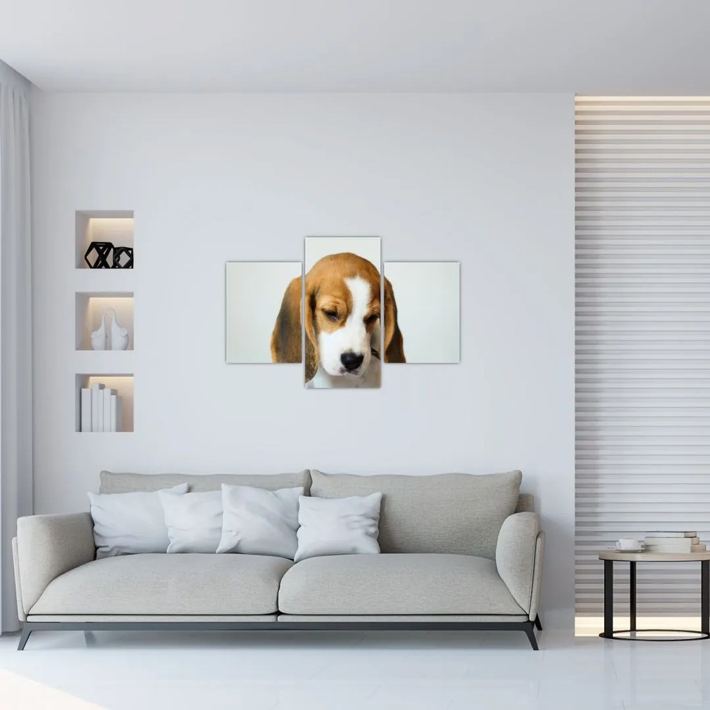Tablou cu bigl (90x60 cm)