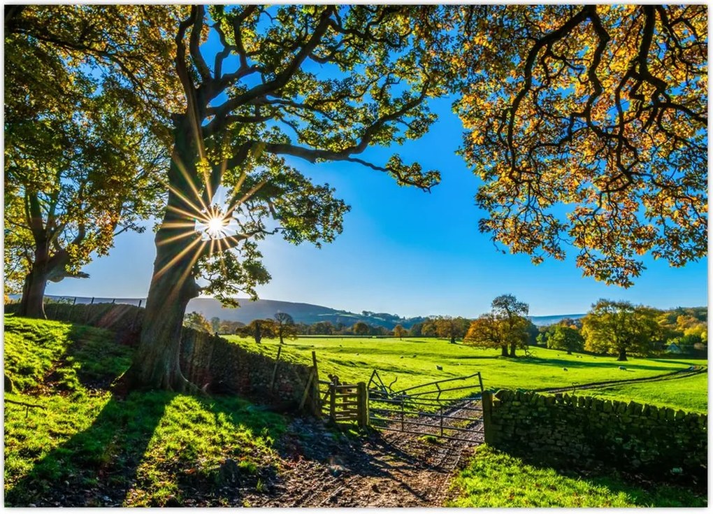 Tablou Privire la câmp (70x50 cm)