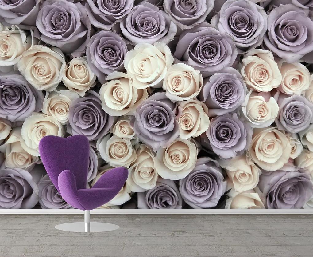 Fototapete, trandafiri purpuriu si albi Art.01200