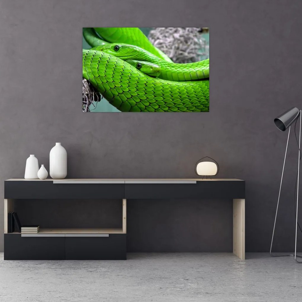 Tablou cu șerpi verzi (90x60 cm)