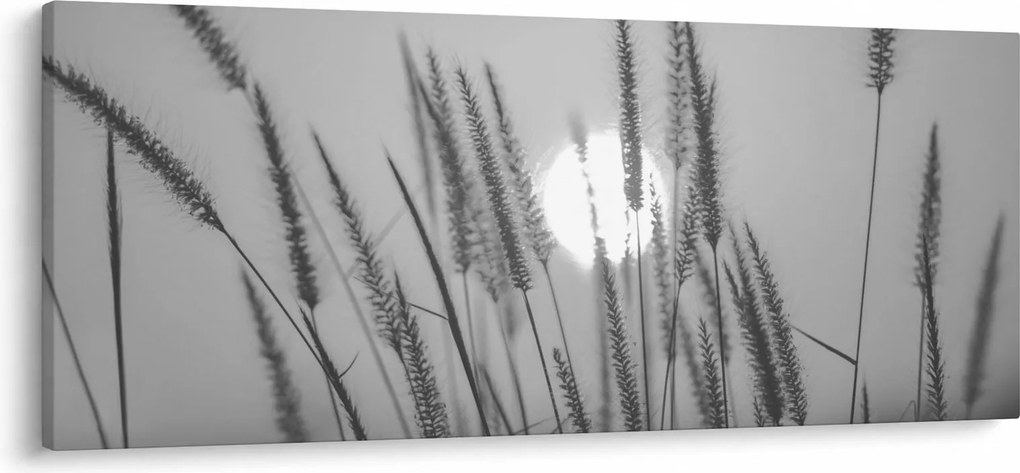 Tablou - Pajiște la apus (120x50 cm)