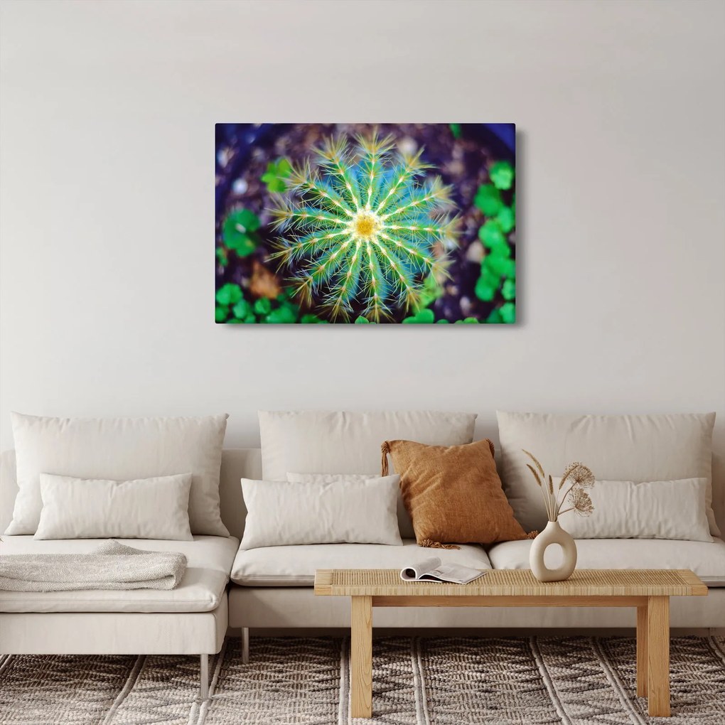 Tablou cu cactus (90x60 cm)