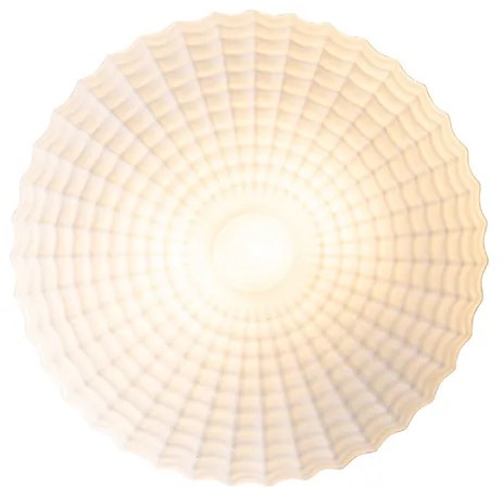 Plafonieră clasică neagră cu sticlă opală 35 cm IP44 - Nohmi