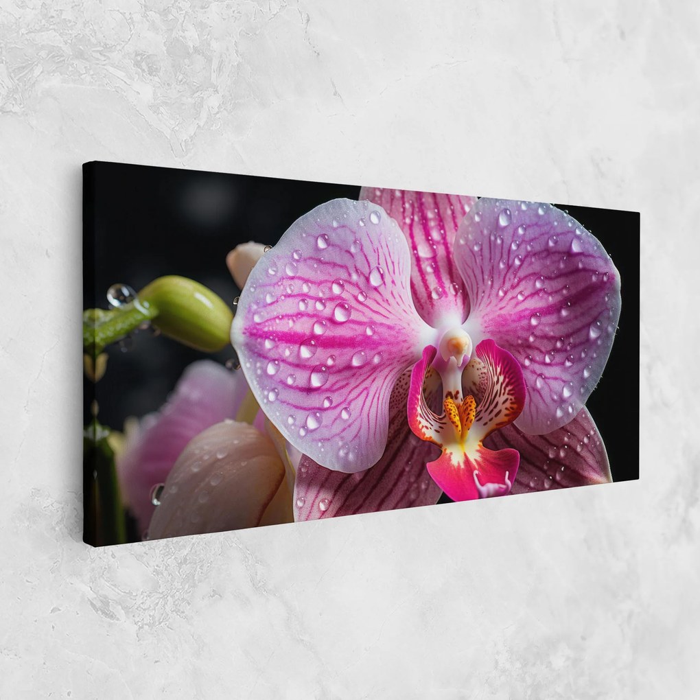 Tablou Canvas, 50x100cm, Dormitor si Living, Flori, Orhidee, Pretty Orchid After Rain