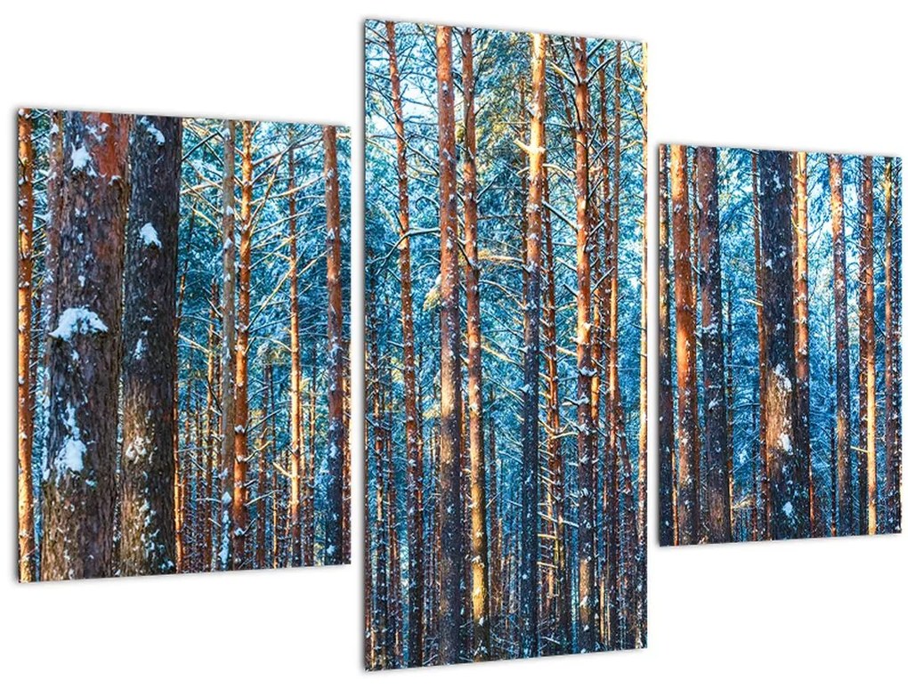 Tablou - Pădurea iarna (90x60 cm)