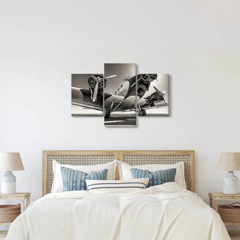 Tablou - Avioane istorice (90x60 cm)
