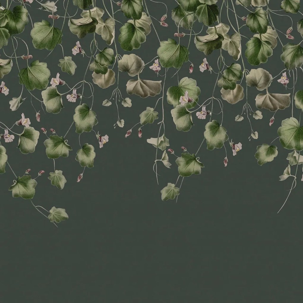 Fototapet, Dangling Ivy, Dark, Rebel Walls