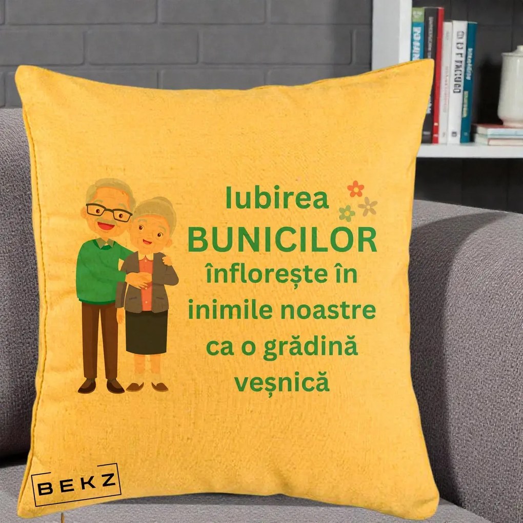 Cadou pentru Bunici - Perna Personalizata Bunicii Iubirea Infloreste Cuplu Senior Teal, 40x40 cm, Galben, Husa Detasabila, Perna Inclusa, BEKZ®