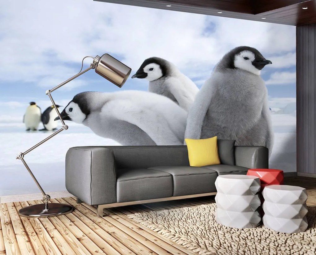 Fototapet - Pinguini (254x184 cm)