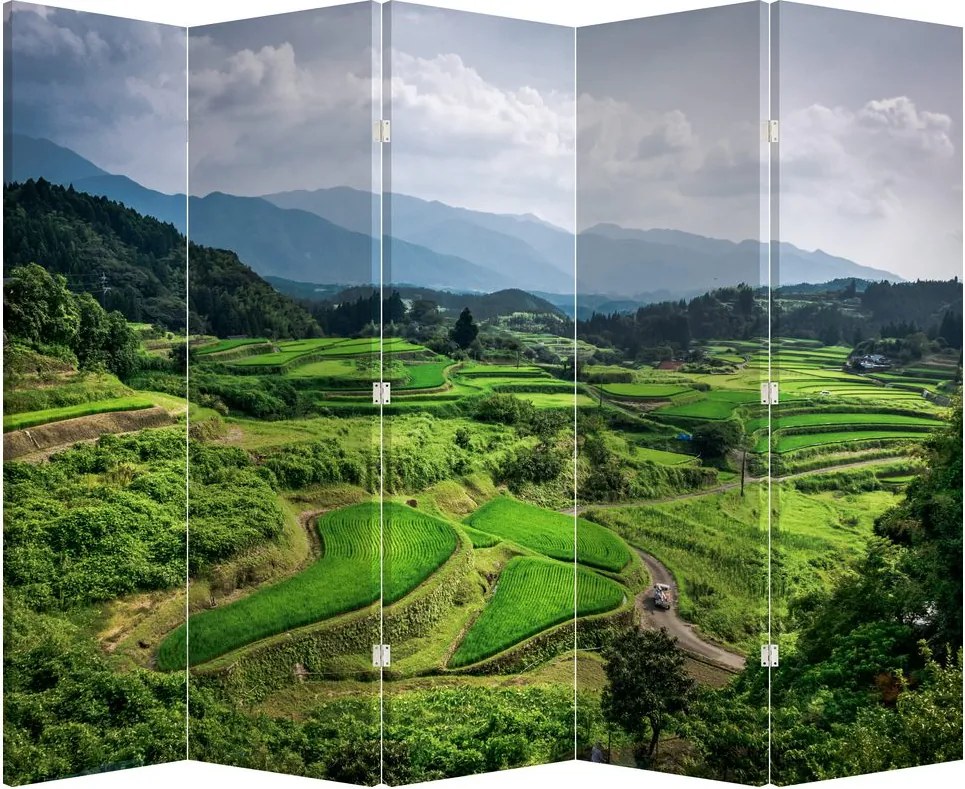 Paravan - Câmp de orez (210x170 cm)