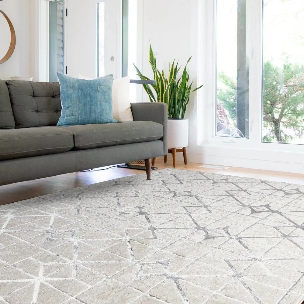 Covor roz-argintiu 230x160 cm Aurora - Asiatic Carpets