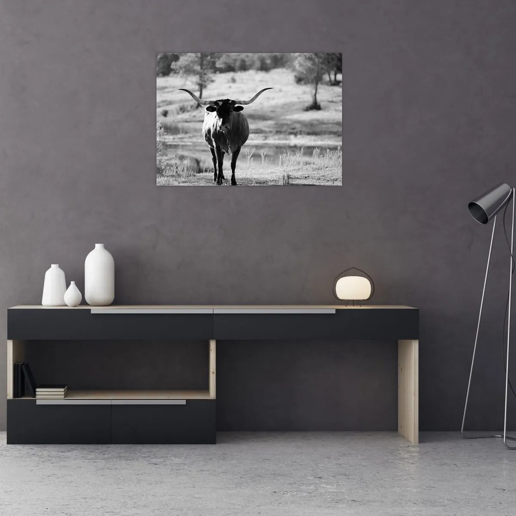 Tablou - Vacă,alb-negru (70x50 cm)