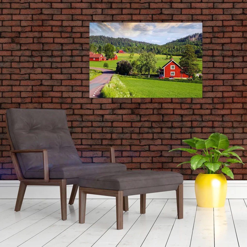 Tabloul cu țară (90x60 cm)