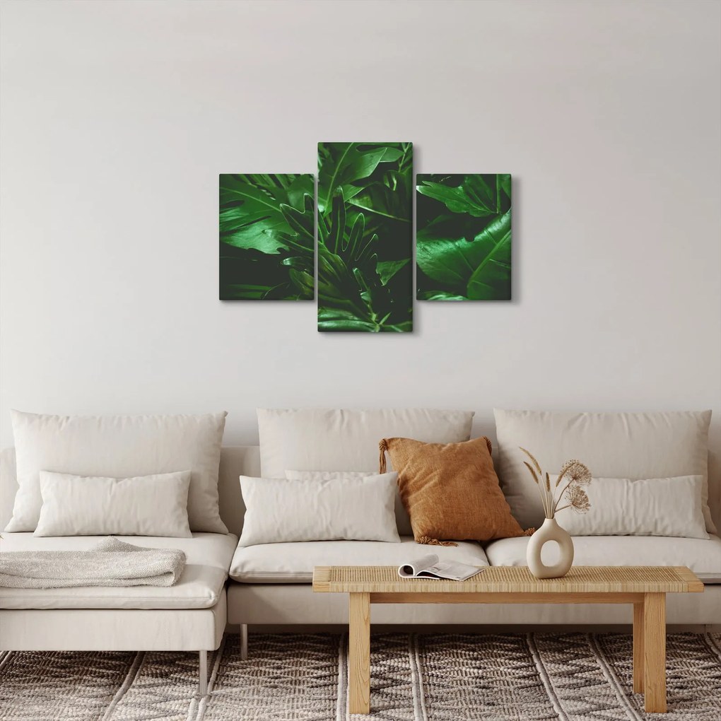 Tablou - Frunze de palmier (90x60 cm)