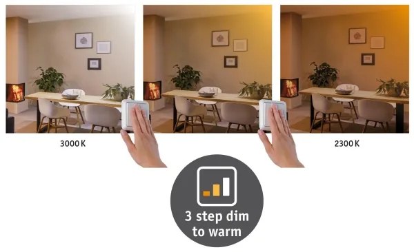 Plafonieră LED/19W Paulmann 79799 CARPO 230V 2300/2500/3000K