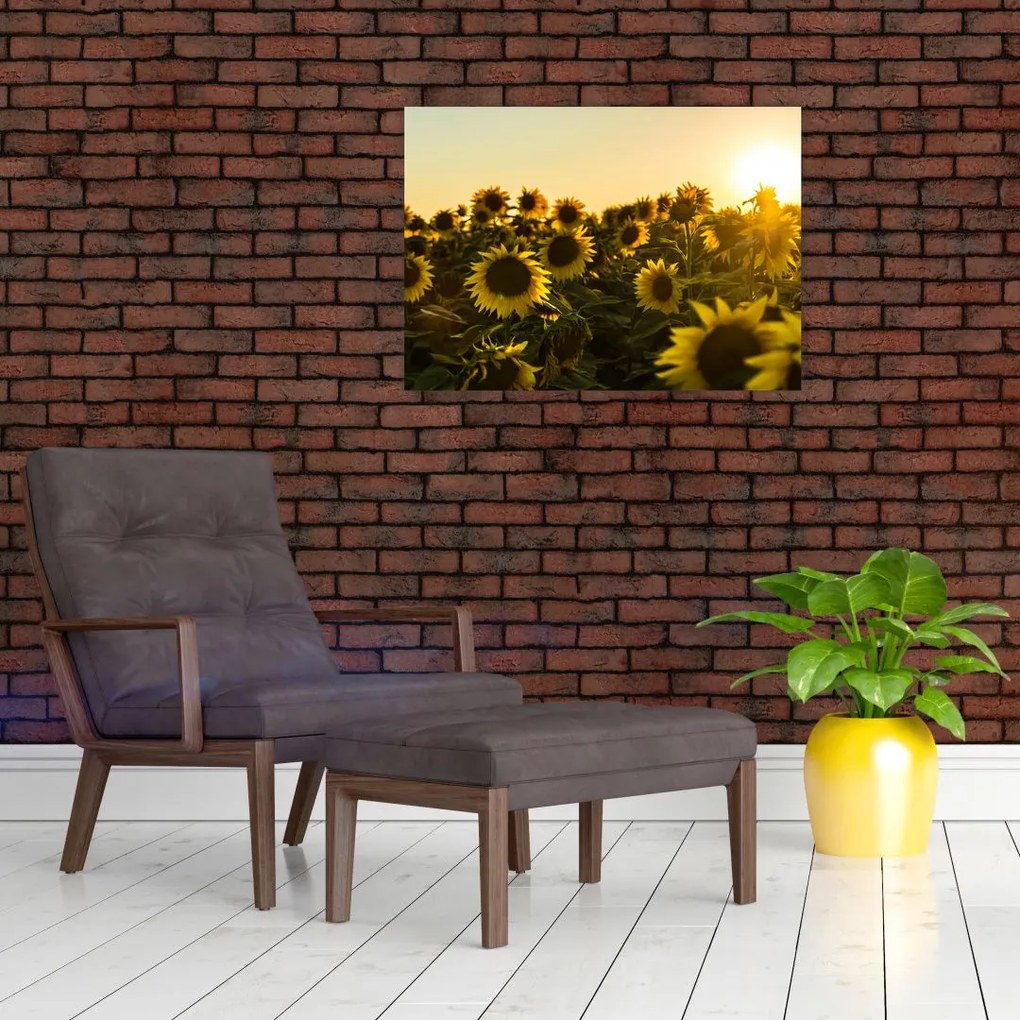 Tablou pe sticlă cu lan de floarea soarelui (70x50 cm)