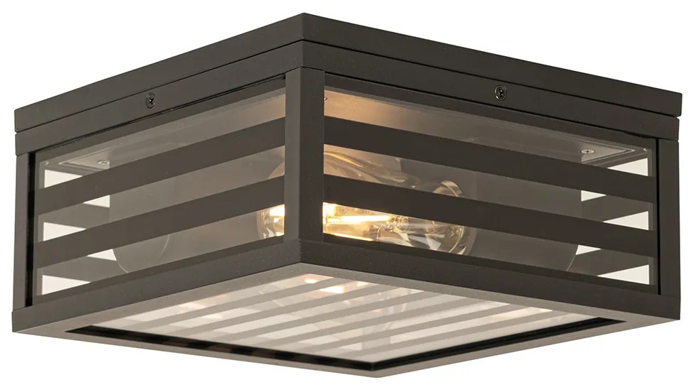 Plafoniera moderna pentru exterior cu sticlă neagră cu 2 lumini IP44 - Reims