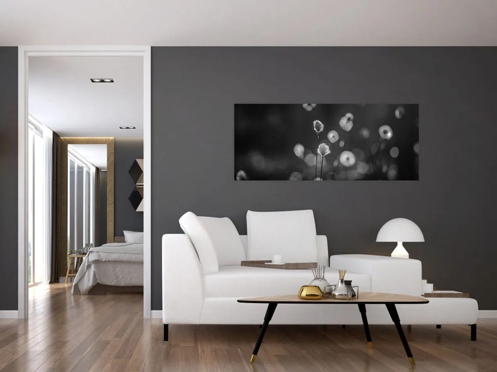 Tablou - Iarba de bumbac în pajiște (120x50 cm)