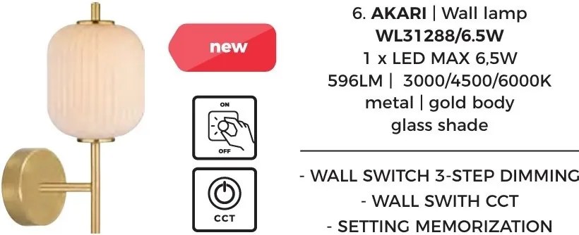 Aplica de perete LED CCT AKARI