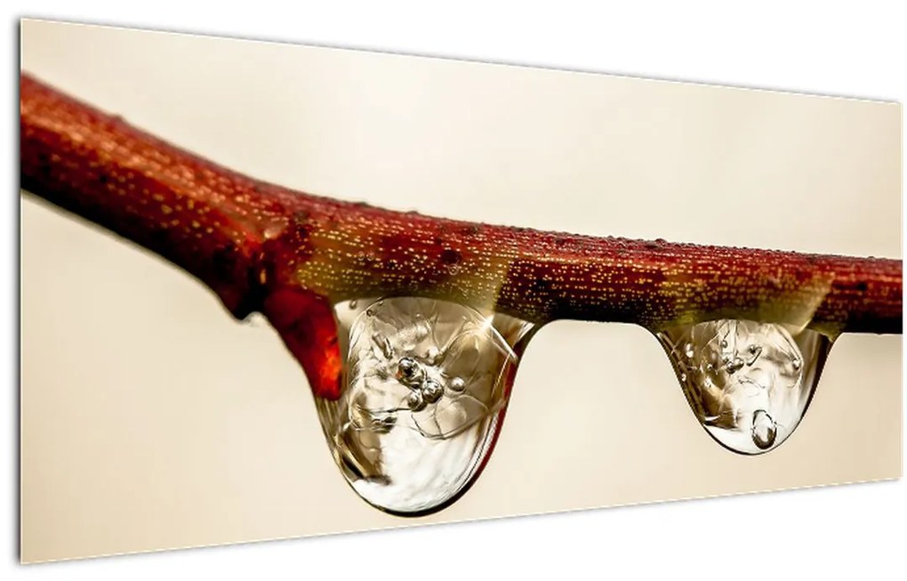 Tablou cu picături de apă pe creangă (120x50 cm)
