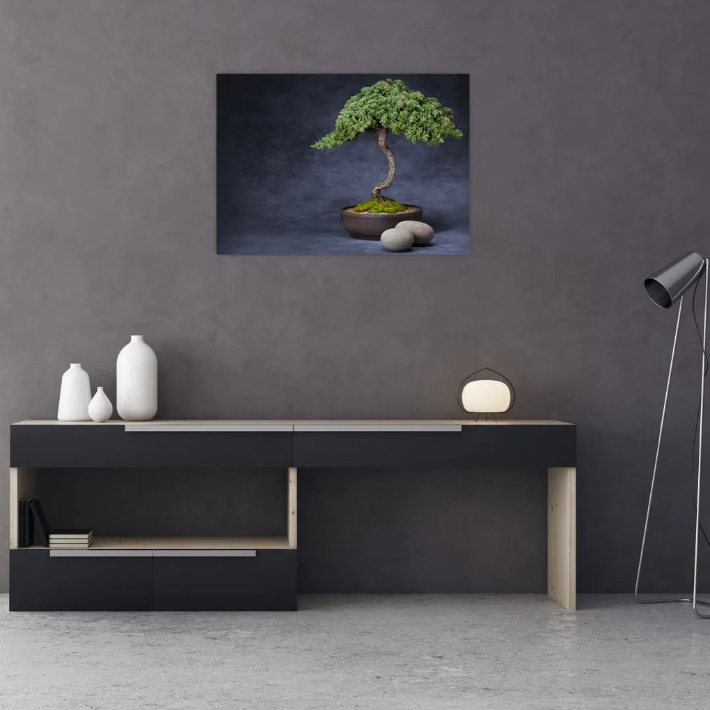 Tablou pe sticlă - Bonsai (70x50 cm)