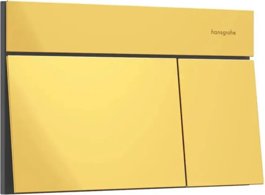 Clapeta de actionare Hansgrohe iFrame Element E auriu lucios