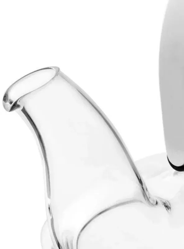 Ceainic LEAF Viva Scandinavia V70500, 500 ml, Maner rece, Transparent