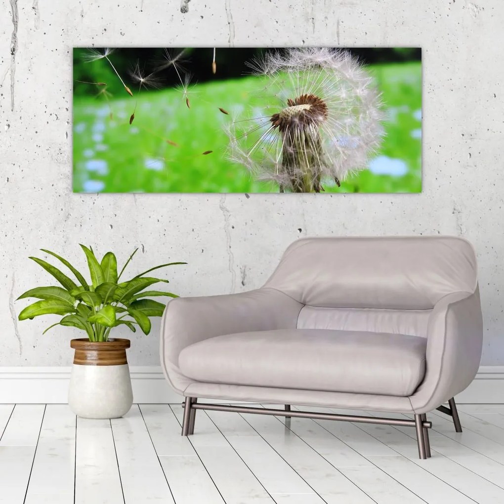 Tablou cu păpădie (120x50 cm)