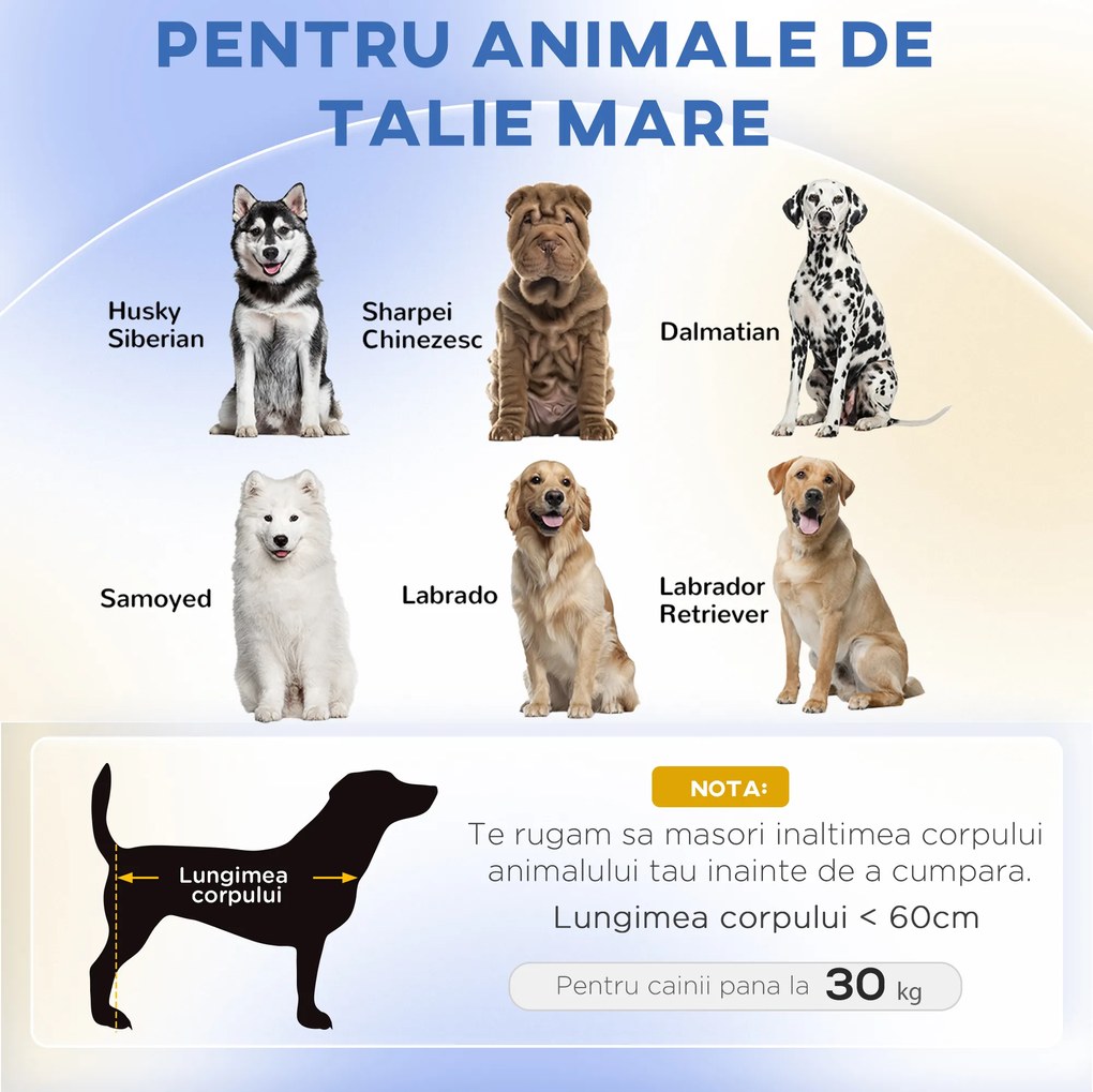 PawHut Canapea pentru Câini cu Picioare Înălțate și Pernă Detașabilă, 98x67x25 cm, Gri | Aosom Romania