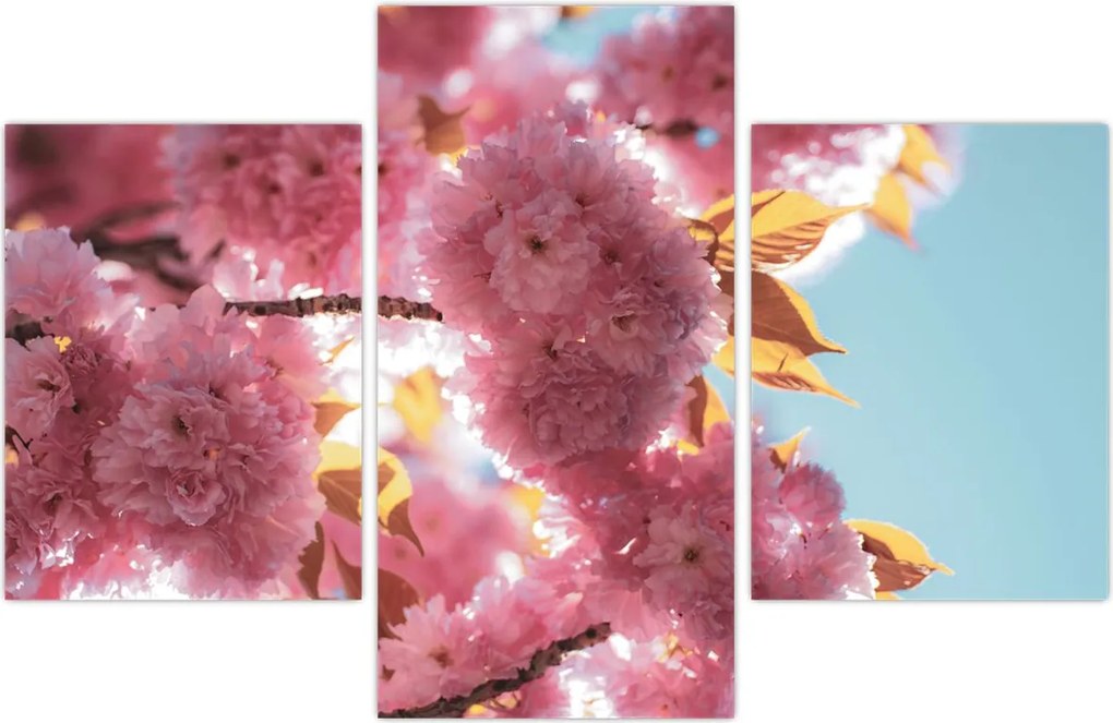 Tablou - Floare de cireș (90x60 cm)