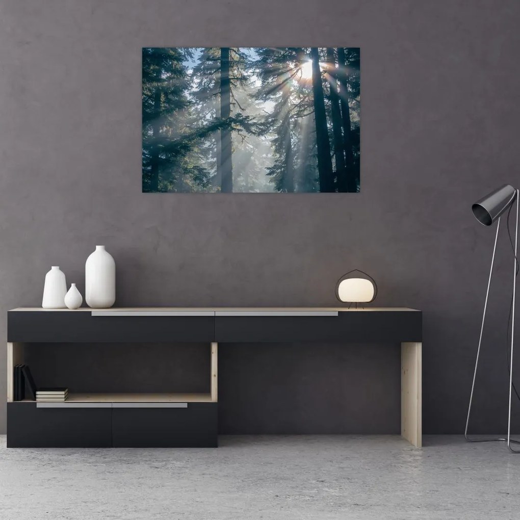 Tablou cu copaci și soarele translucind (90x60 cm)