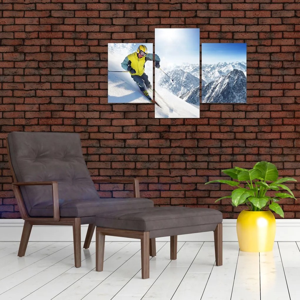 Tablou - Schior (90x60 cm)