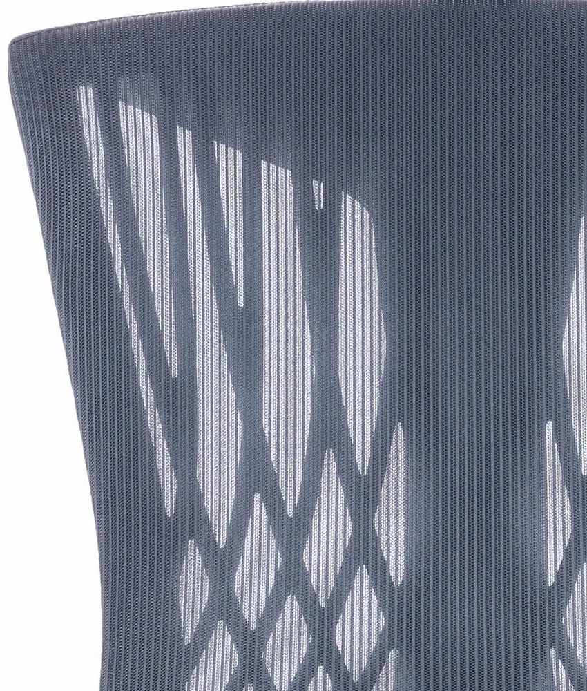 Ergomax ergonomic birou scaun pivotant gri-albastru