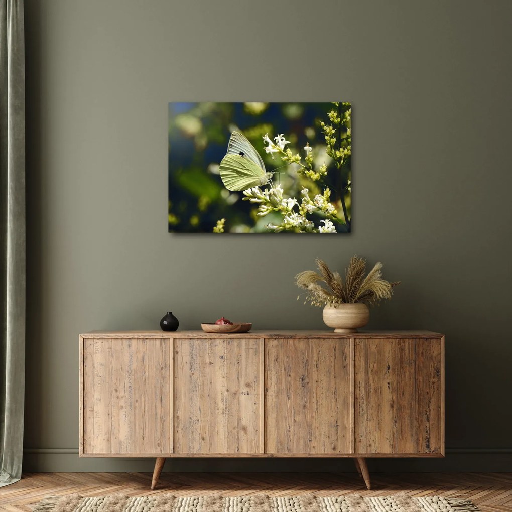 Tablou cu fluture (70x50 cm)