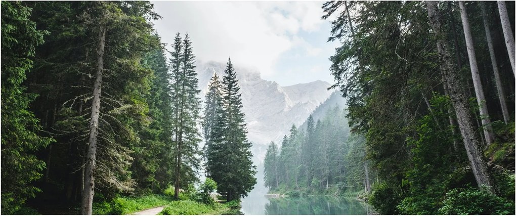Tablou lacului în pădure (120x50 cm)
