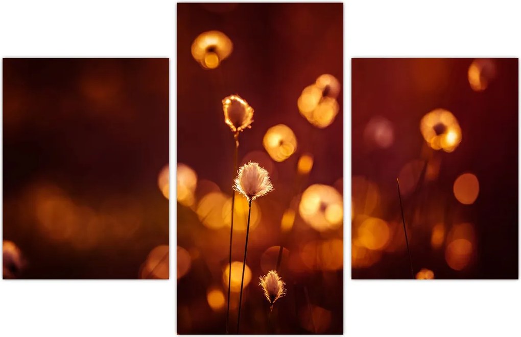 Tablou - Dimineața (90x60 cm)