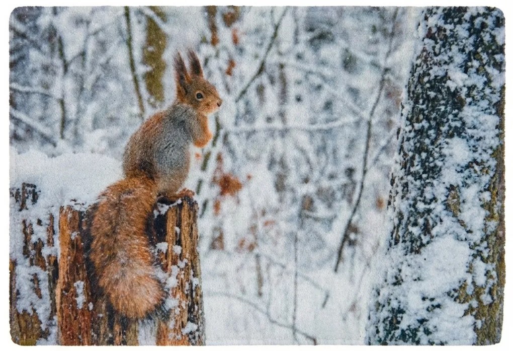 Covoras de Craciun WILD IN WHITE 38x58 cm - mai multe variante Varianta: Urs