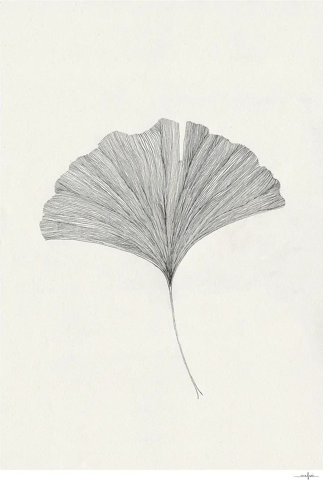 Poster 50x70 cm Ginkgo Leaf – Ana Frois – The Poster Club
